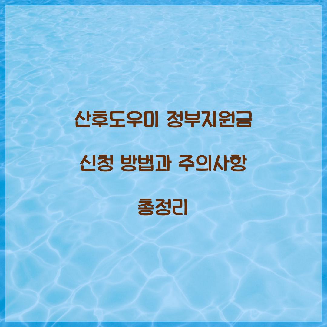 산후도우미 정부지원금
