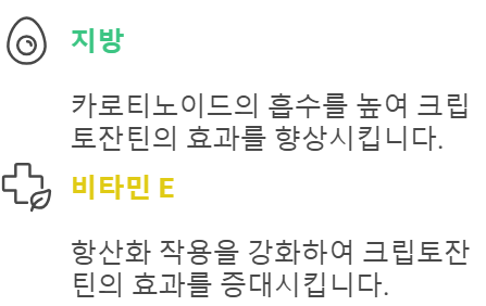 크립토잔틴의 흡수와 효능을 향상하는 영양소