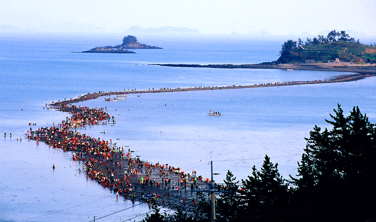 진도 신비의 바닷길 축제