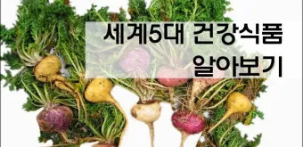 세계 5대 건강식품 종류 효능 섭취 방법 총정리_19