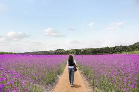 8월 제주도 가볼만한곳10곳