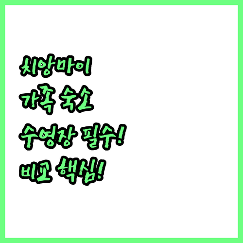 치앙마이 호텔 가족 여행 수영장 시설..