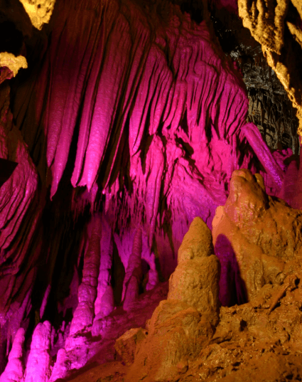 천곡황금박쥐동굴