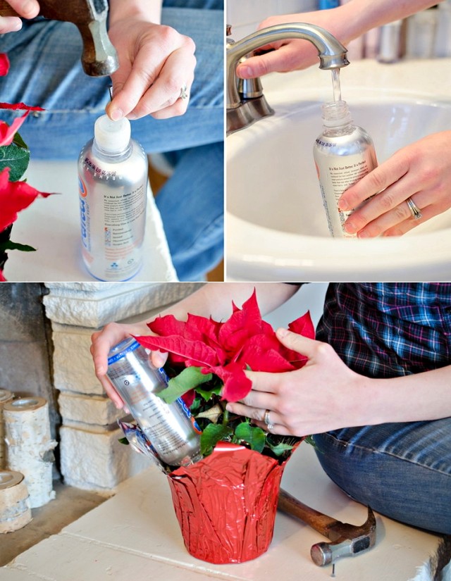 수경식물 물주기 우유통 재활용 페트병 활용법 공예, 생활 팁줌 매일꿀정보