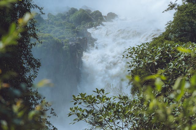 1월7일 돈버는 퀴즈 정답 모음 캐시닥 캐시워크 리브메이트 타임스프레드