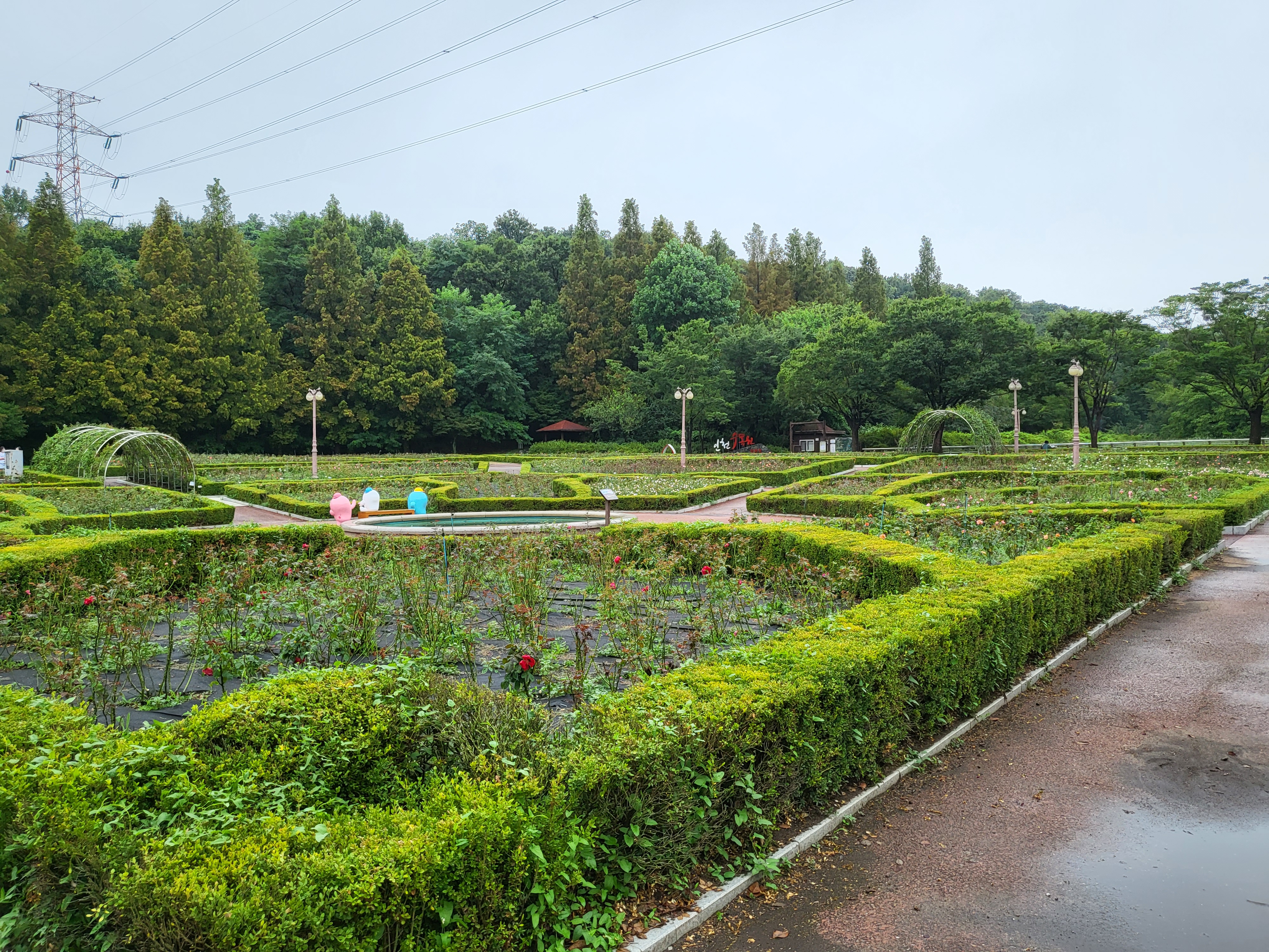 대공원 돈까스 & 국수 - 장미공원