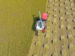 농업직불금 온라인 교육 신청