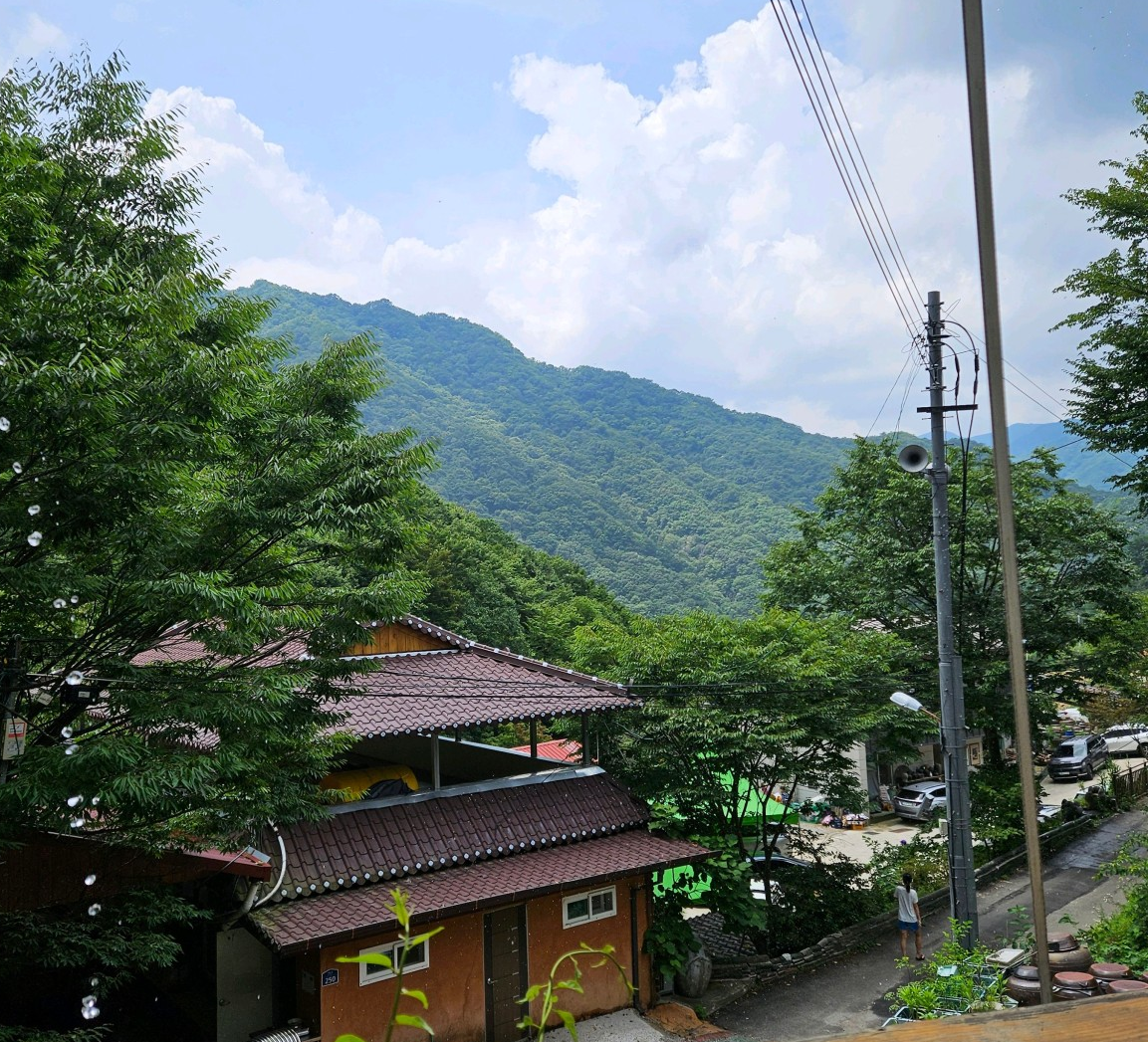 6시내고향 백숙