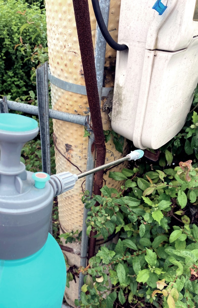 분무기 뿌리는 모습