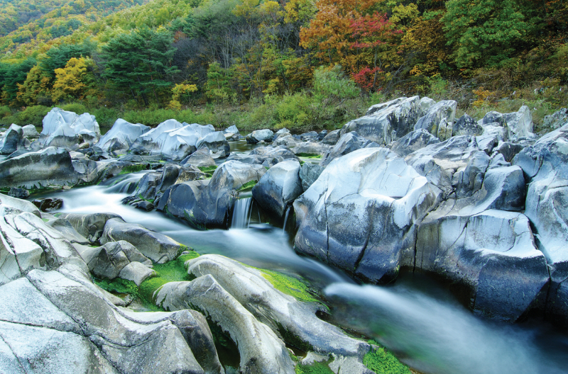 백산탄포트