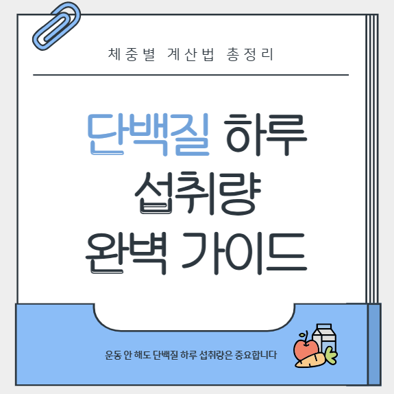 단백질 하루 섭취량 완벽 가이드: 체중별 계산법 총정리