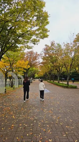울산대공원 메타세콰이어 가는길