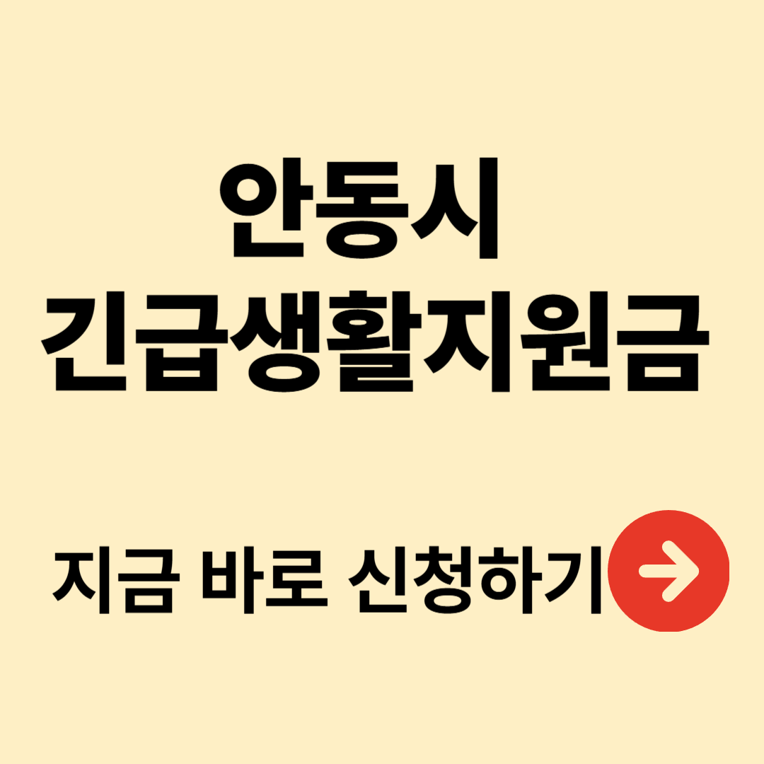 안동시 긴급생활지원금