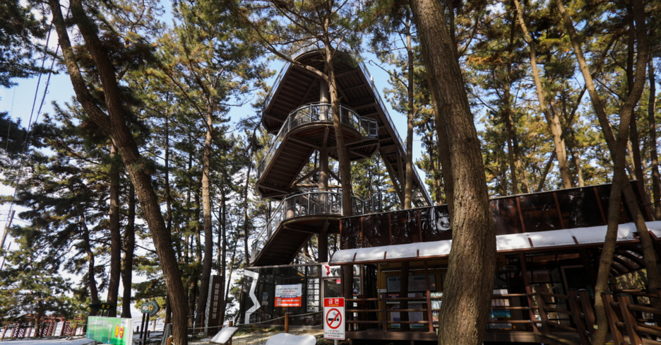 장항-스카이워크-전경