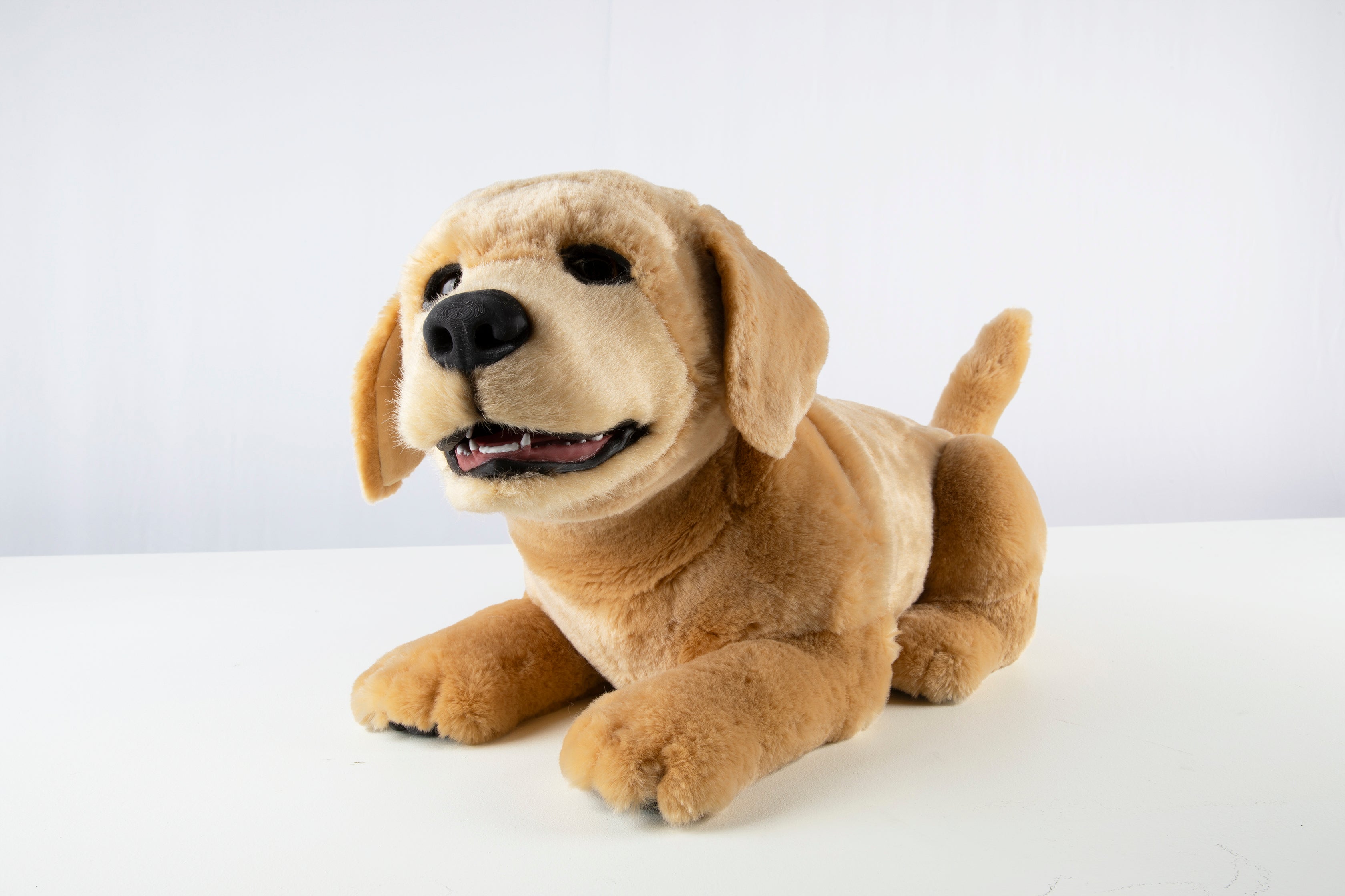 미국 톰봇(Tombot)의 로봇강아지 제니 Jennie