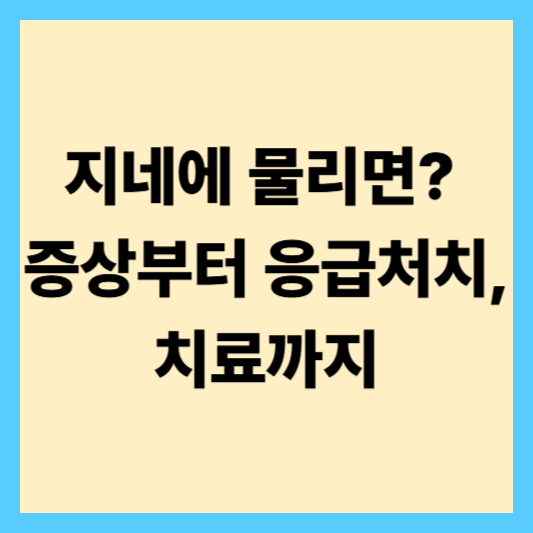 지네에 물리면 증상부터 치료까지, 꼭 알아야 할 응급 대처법