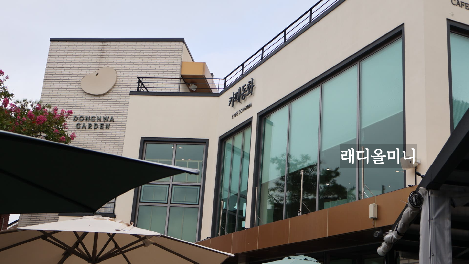 강릉 동화가든 카페