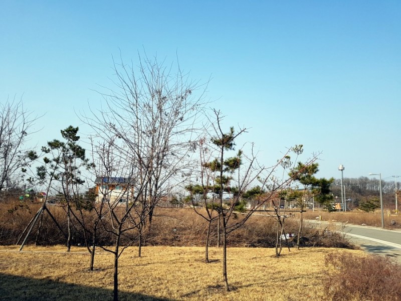 코너 땅과 땅 앞쪽 소녹지의 모습