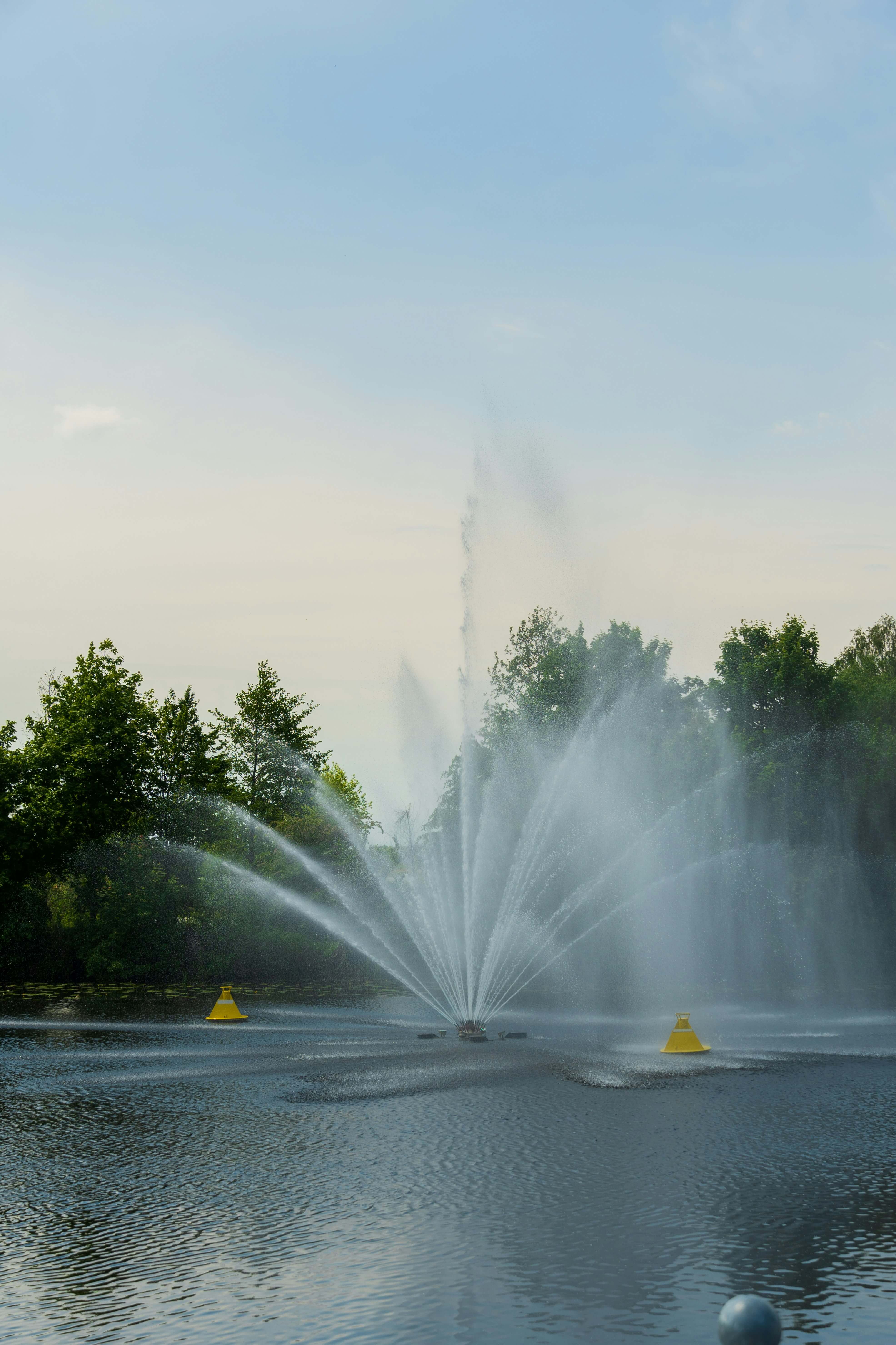 2025 워터밤 서울