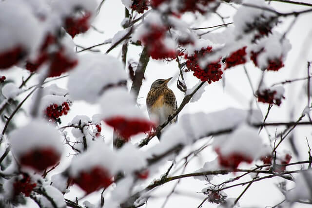 에너지바우처 실패 포인트 정리: 난방비·전기요금에서 막히는 기준