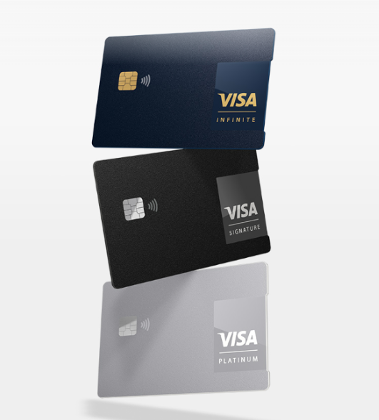 비자카드 이미지