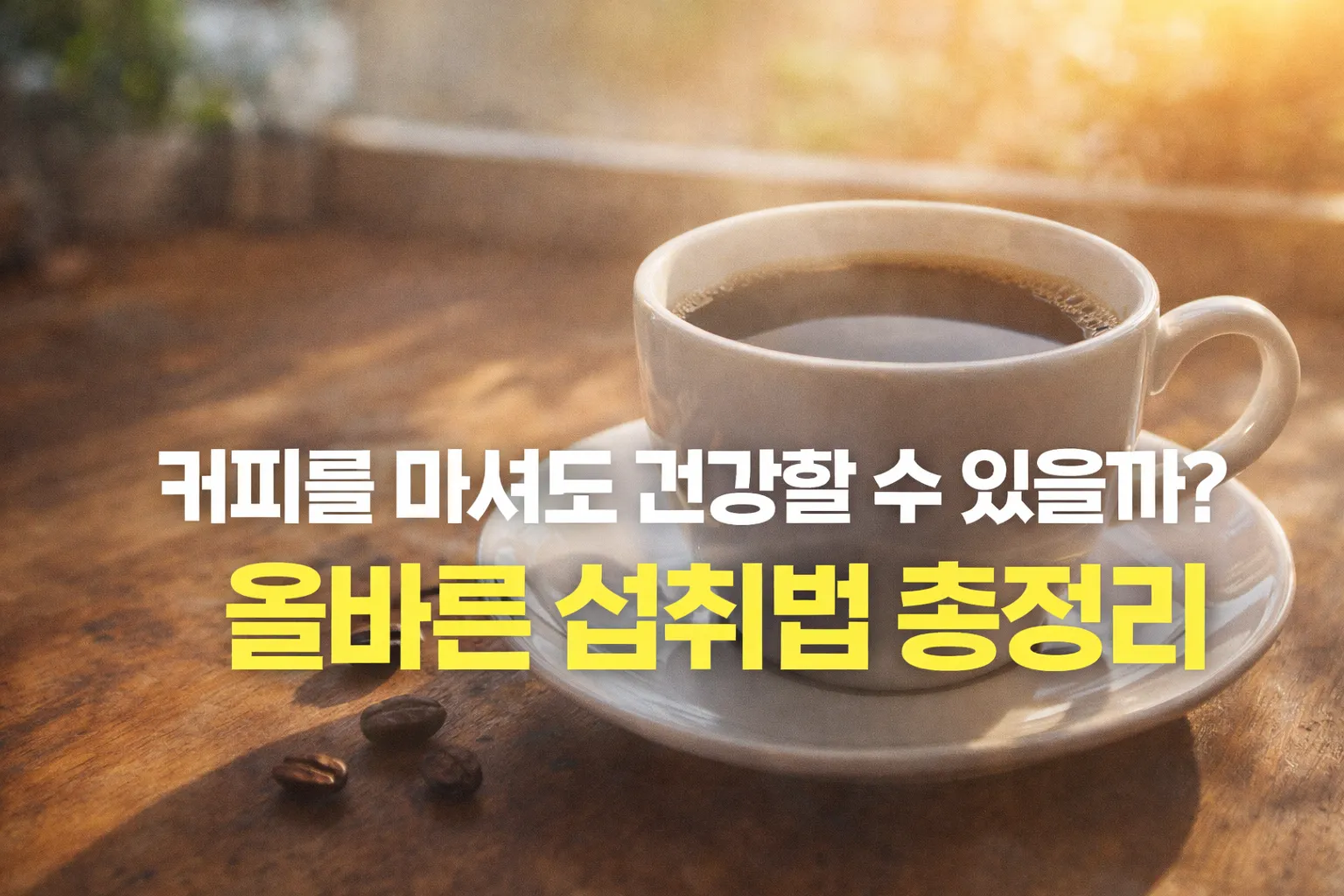 커피 올바른 섭취법 총정리