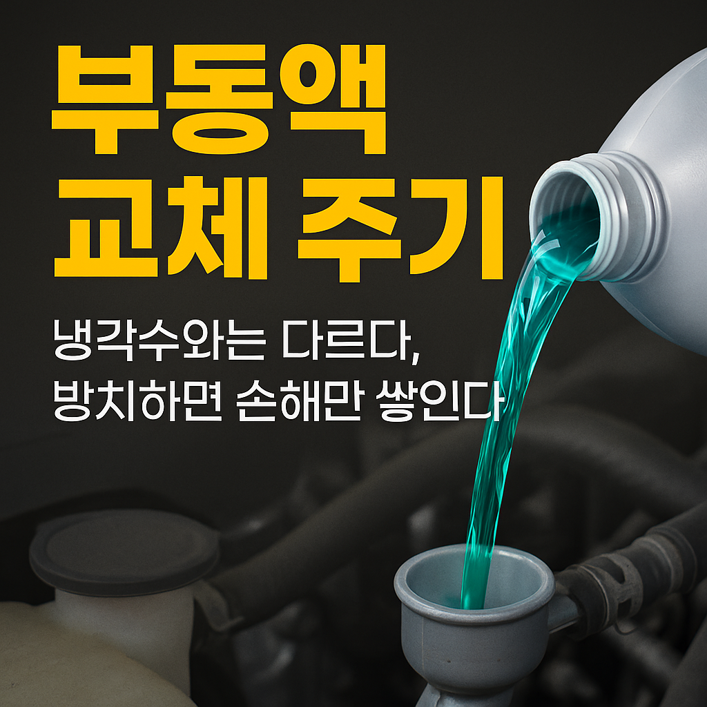 자동차 부동액 교체