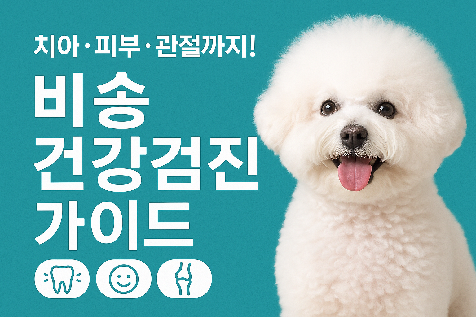비숑 건강검진