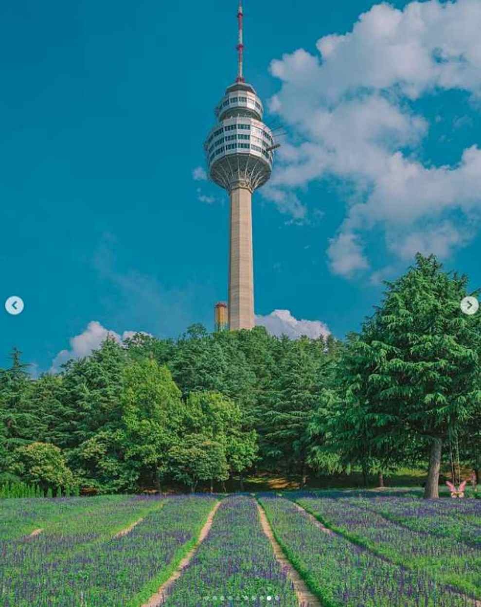 이월드 퍼플 아일랜드