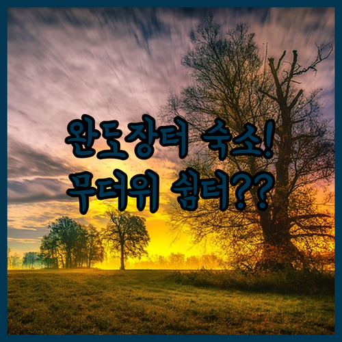 완도 오일장 근처 숙소 추천 및 완도..