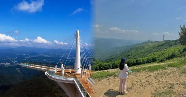 평창 가볼만한곳 베스트10 대관령 양떼목장 허브나라 드라이브_2