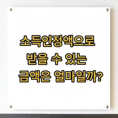 보드-판