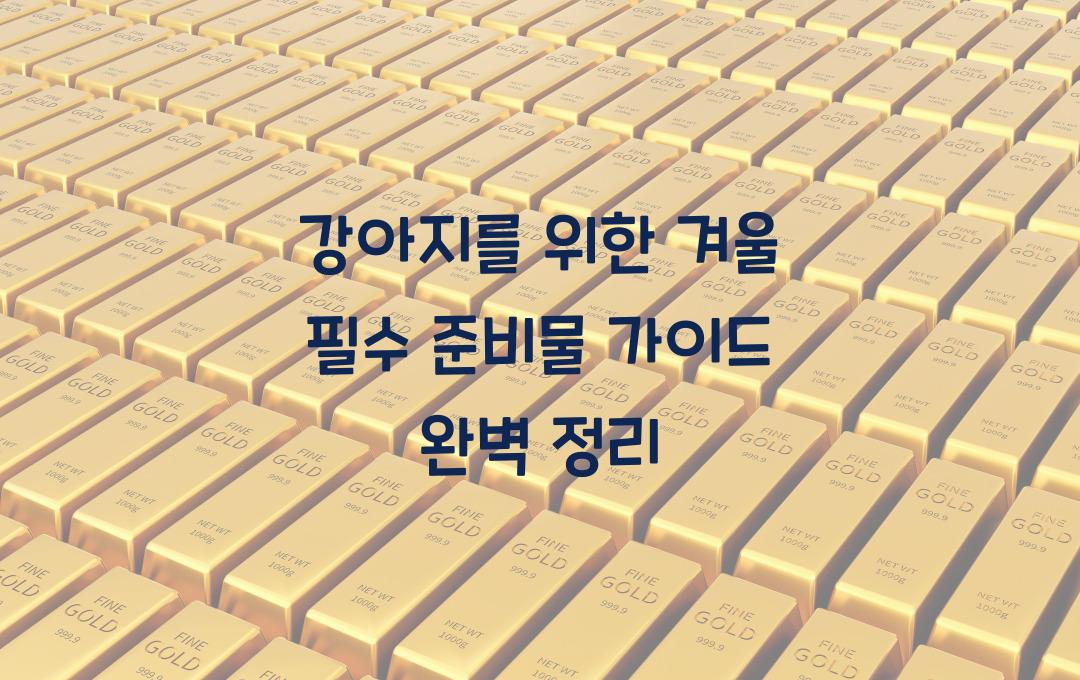 강아지를 위한 겨울 필수 준비물 가이드