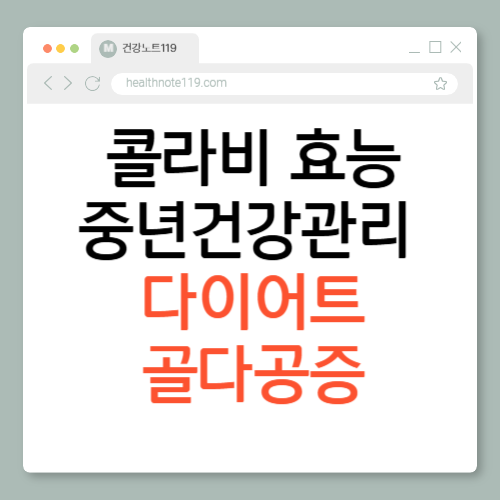 콜라비 효능 다이어트에서 골다공증 예방까지