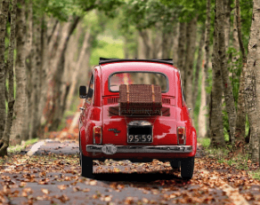 과태료 조회납부시스템