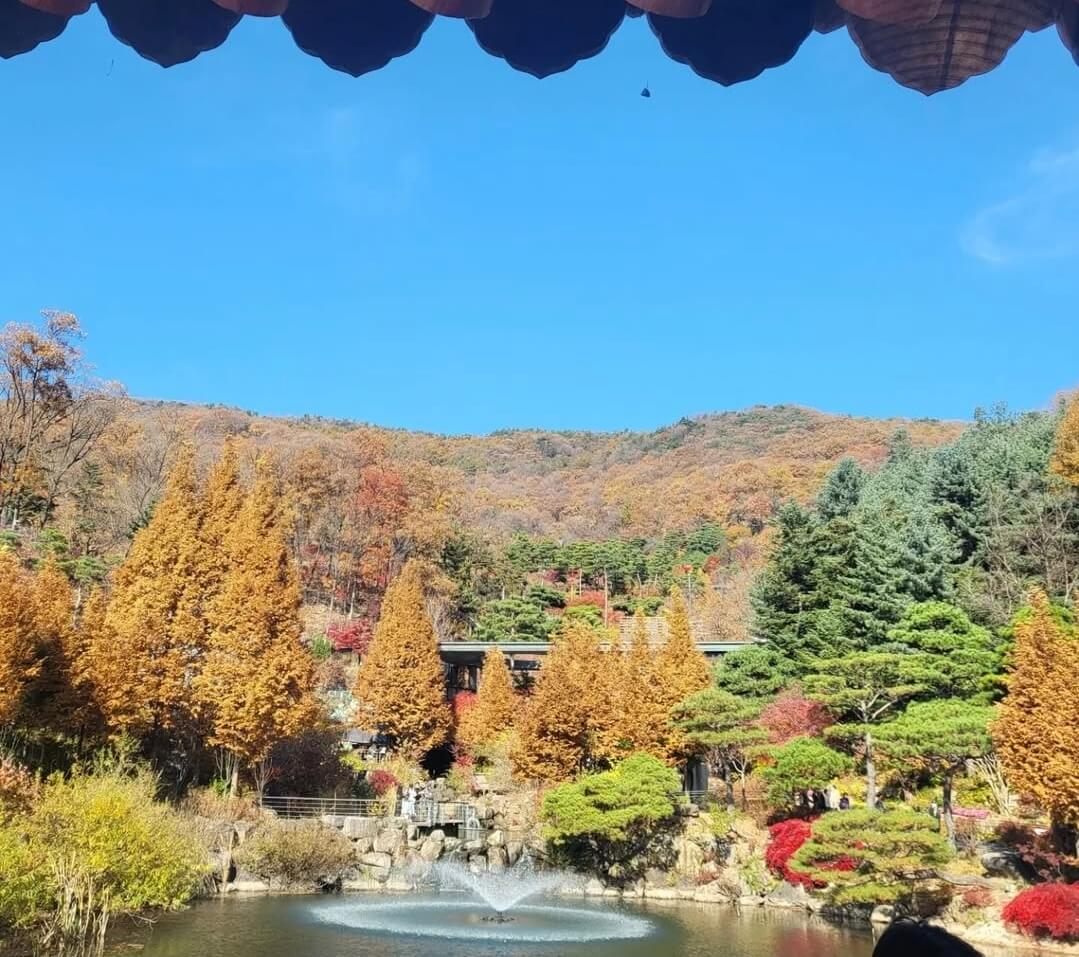화담숲 단풍 시즌과 성수기 일정