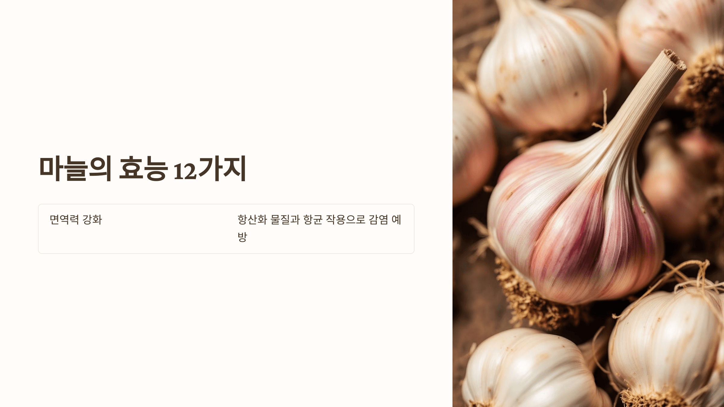 마늘 사진입니다.