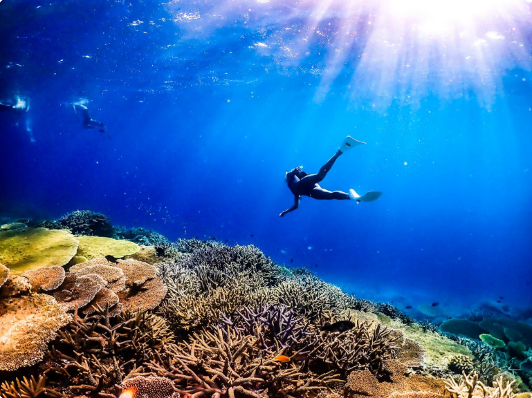 미야코지마 여행,미야코지마 직항,미야코지마 숙소,미야코지마 렌트카,미야코지마 호텔,미야코지마 스노클링,미야코지마 날씨