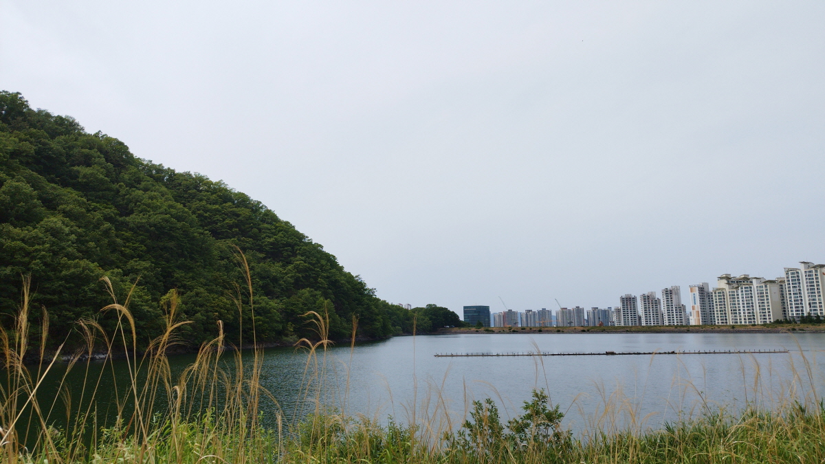 대구 월광수변공원