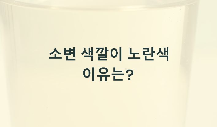 소변 색깔이 노란색 건강 신호