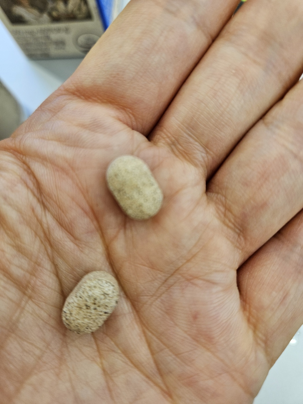 위에 도움되는 트류포뮬러 위톱 복용후 찐 후기