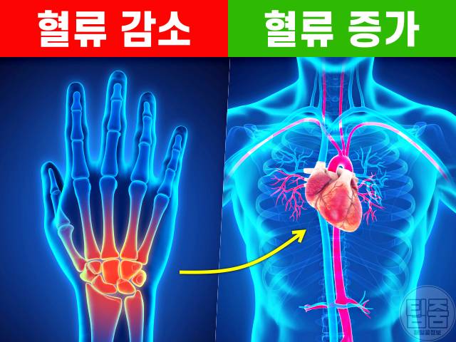 손발이 찬 이유,손발이 찬 체질,수족냉증