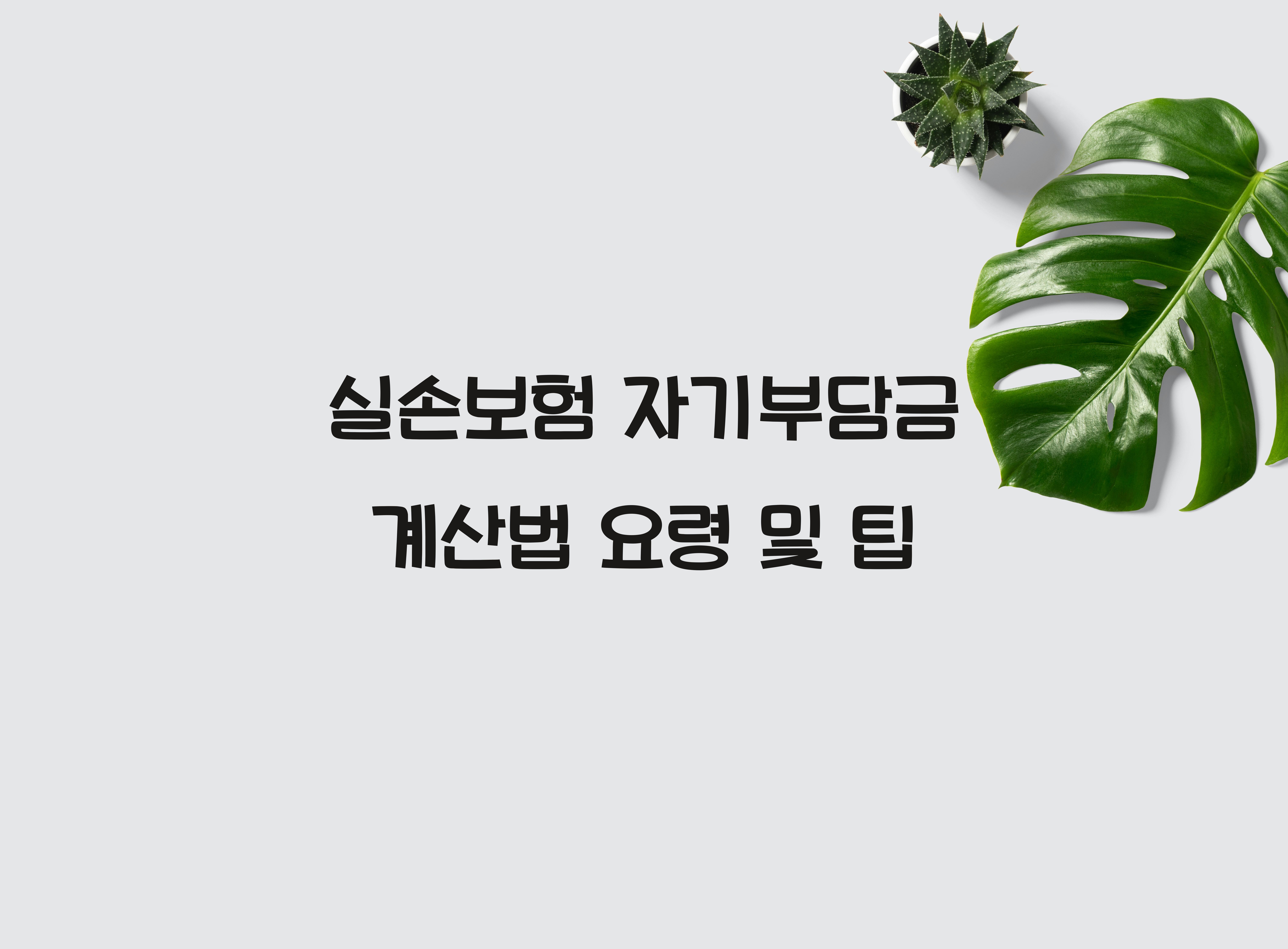 실손보험 자기부담금 계산법