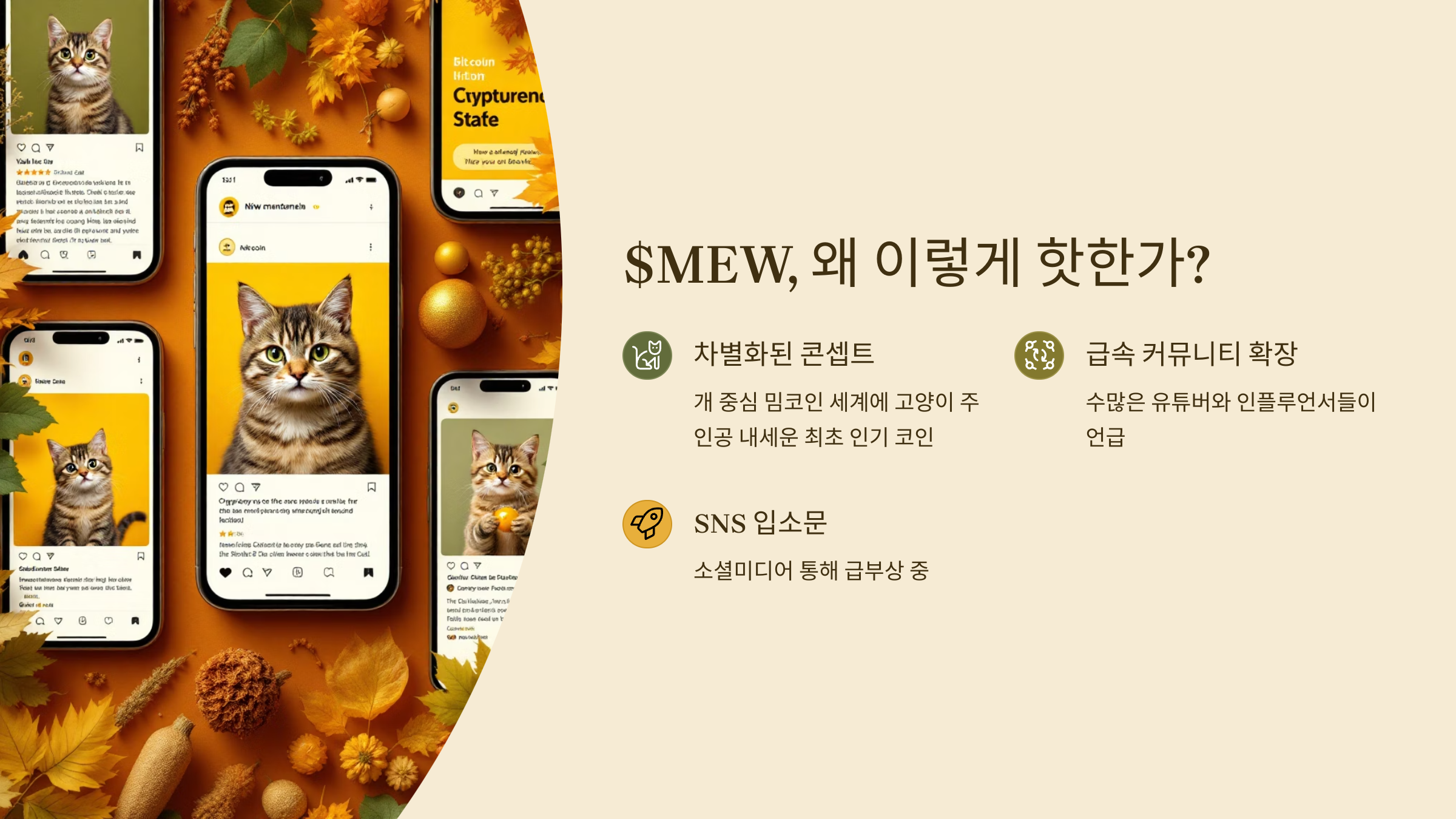 🐱 2025년 5월 캣인어독스월드 코인, 밈코인의 새 강자가 될까?