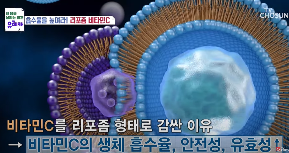 리포좀비타민C