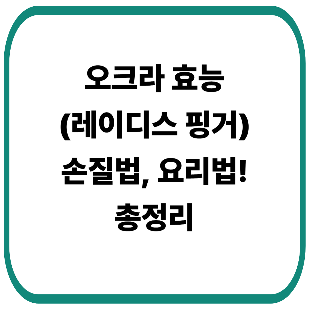 오크라[레이디스 핑거] 효능