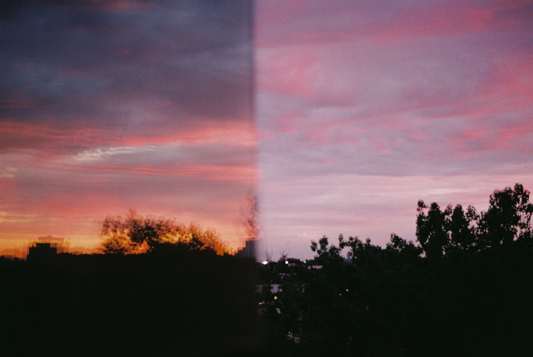 Comparison