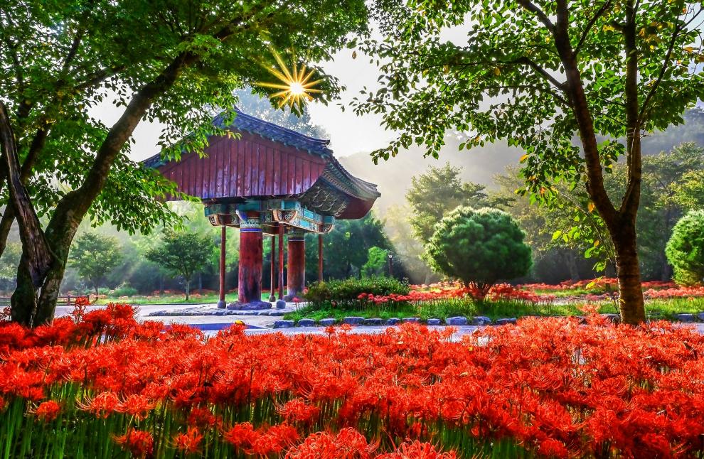 고창 가볼 만한 곳