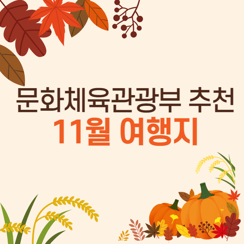 11월여행지