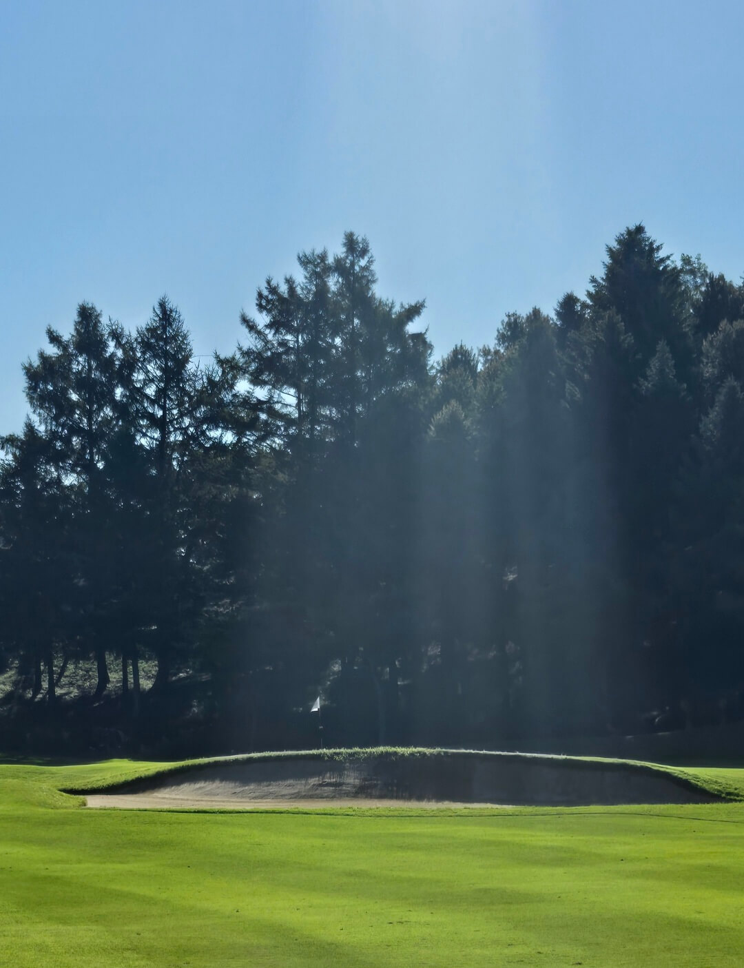 금강cc 남코스 벙커